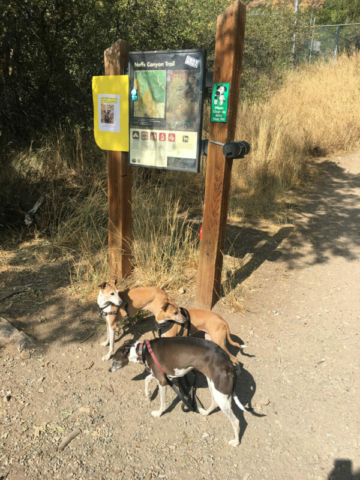 Neff's Canyon Trailhead