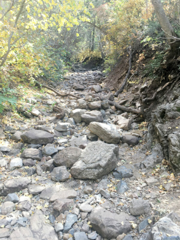 Neff's Canyon - winner of most rocks ever on a trail