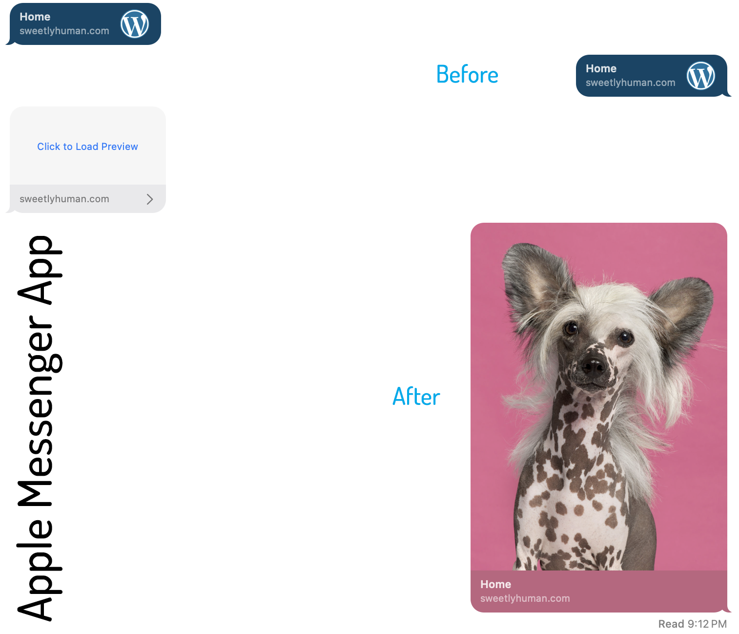 Changing the preview image of your website