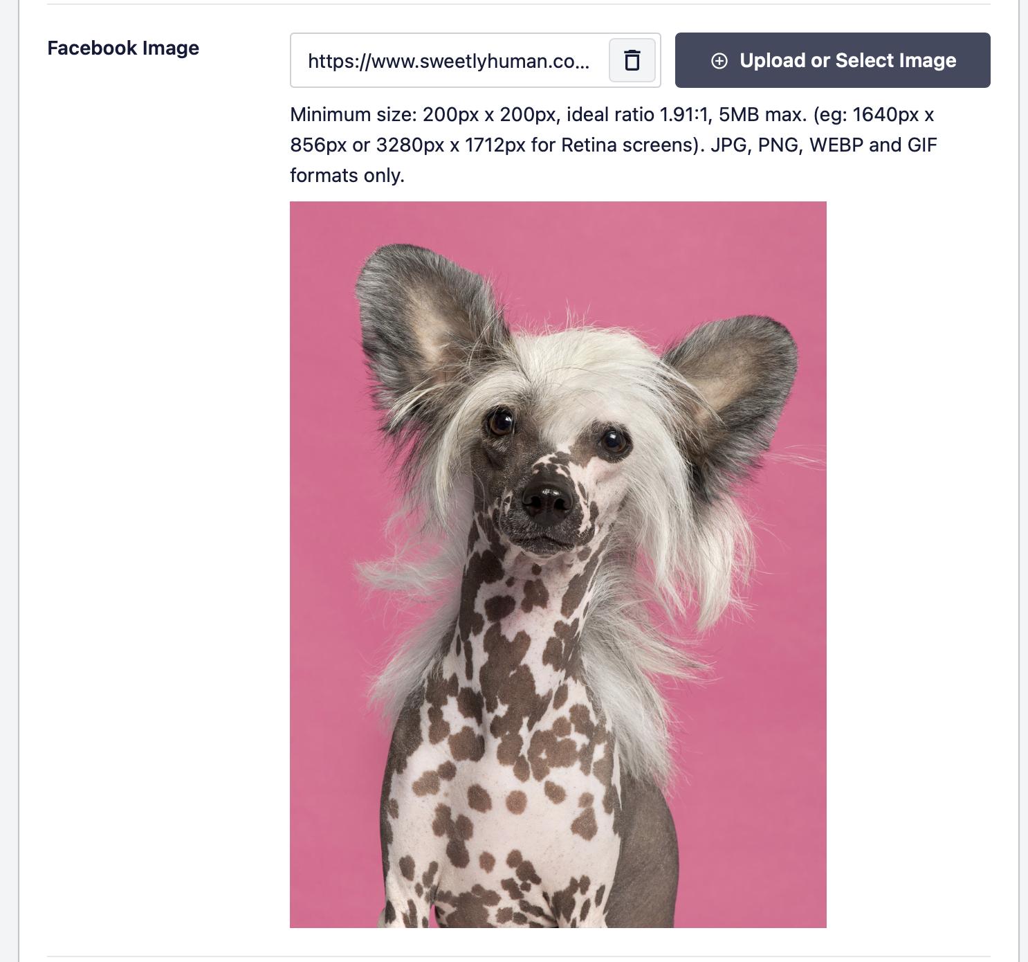 Changing the preview image of your website