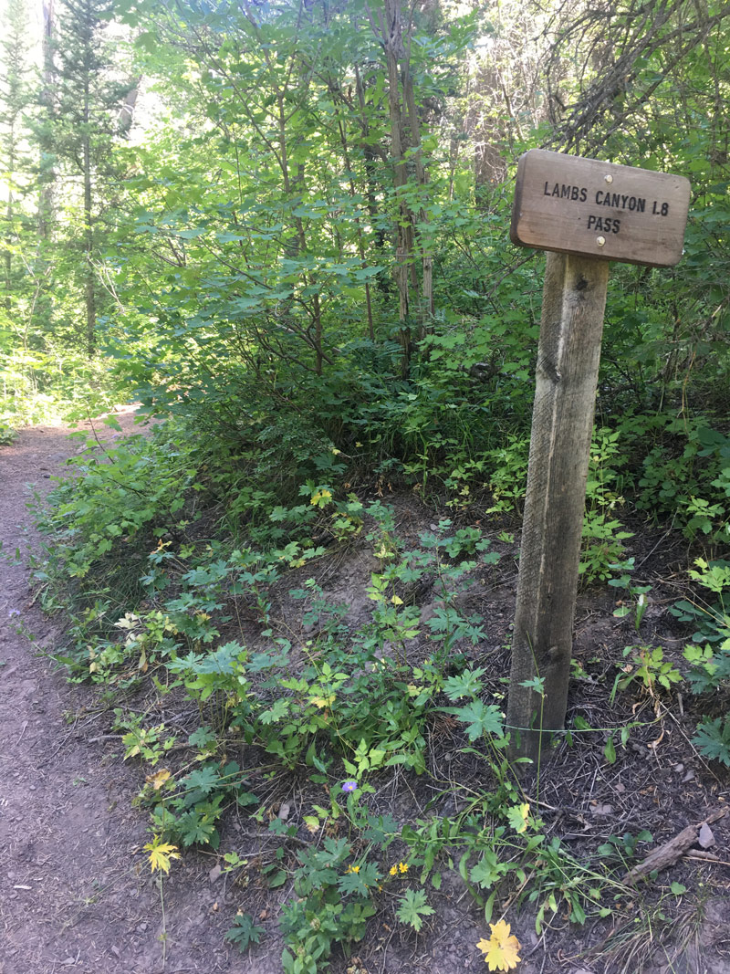 Elbow Fork Trail to Lambs Canyon Sign