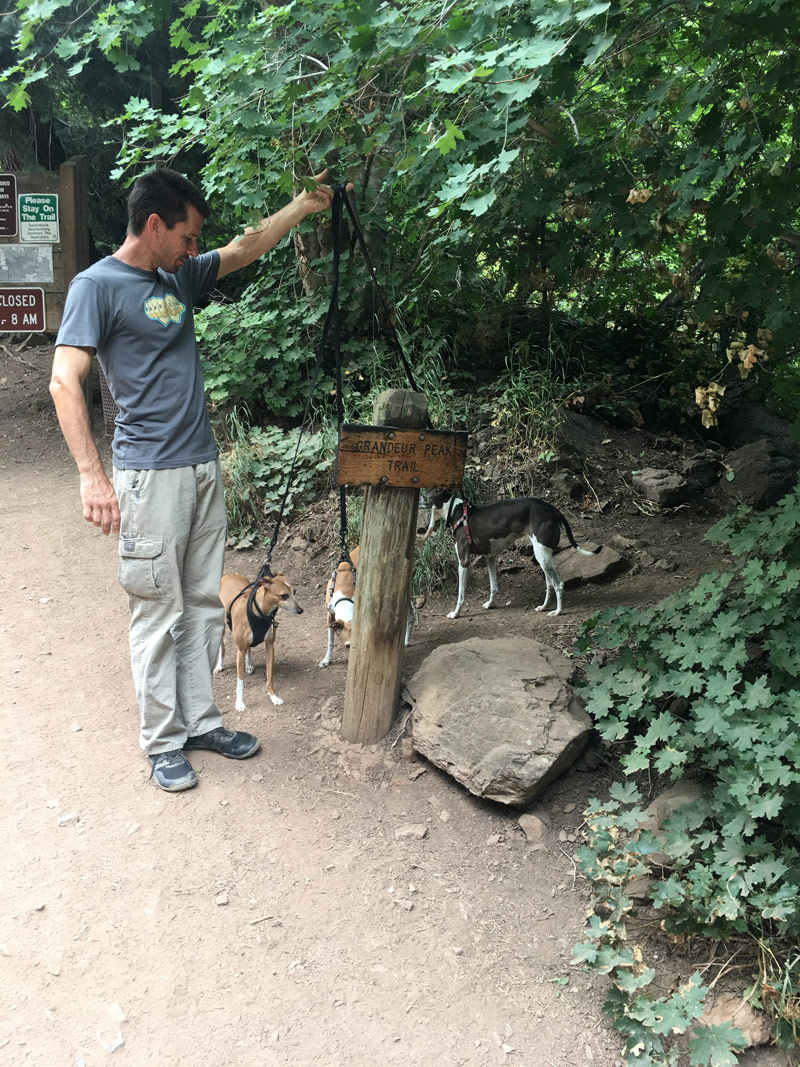 Millcreek Canyon Grandeur Peak sign