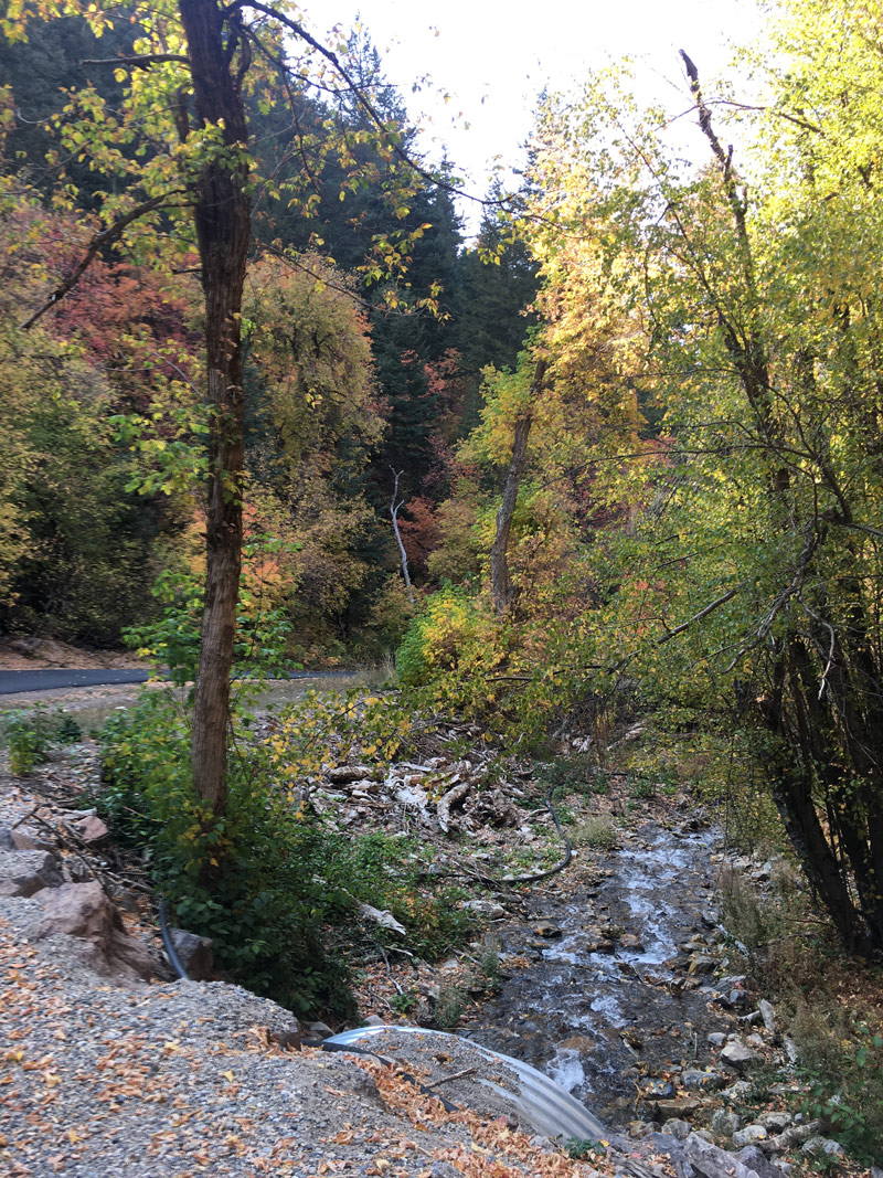 Porter Fork road and stream