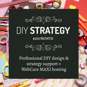 STRATEGY DIY design + strategy support subscription