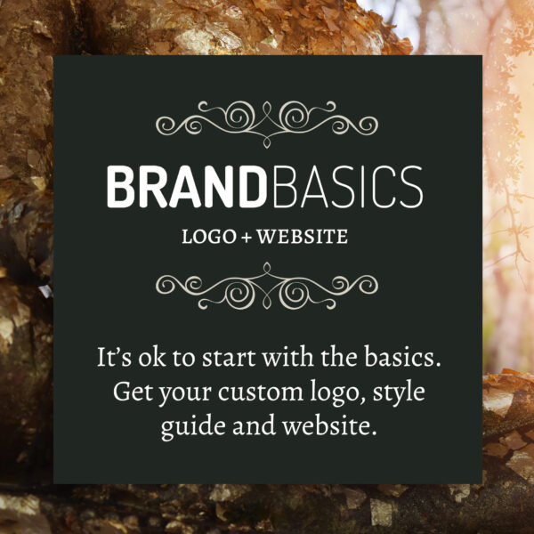Brand Basics logo and website