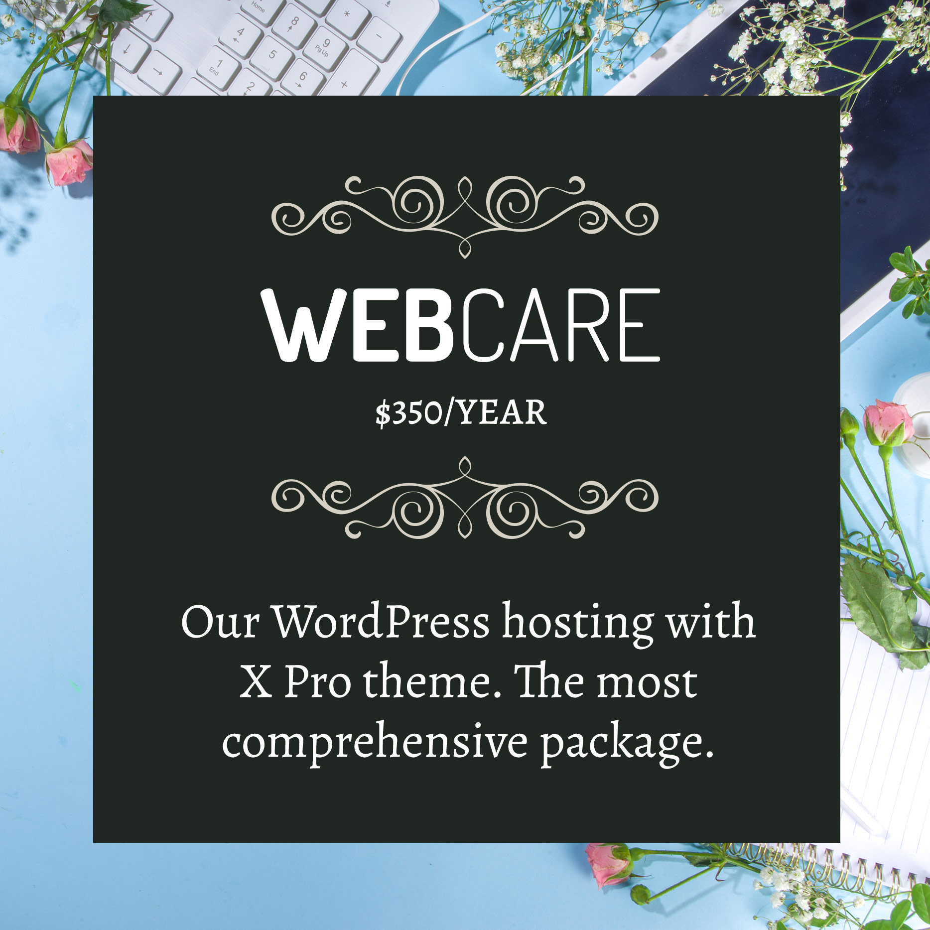 WebCare web hosting package