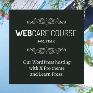 WebCare web hosting package