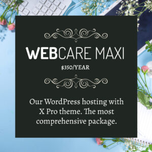 WebCare MAXI web hosting package