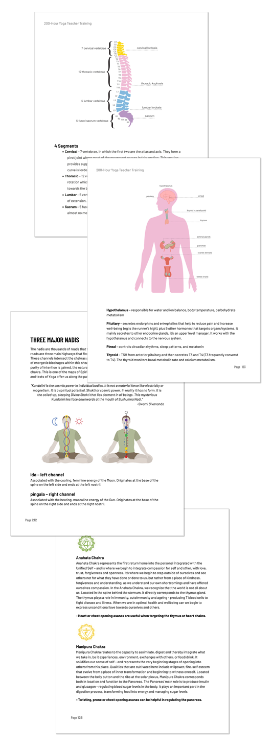 Yoga teacher training manual pages
